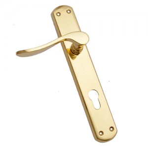 "Sechu" Brass Door Handle with Plate